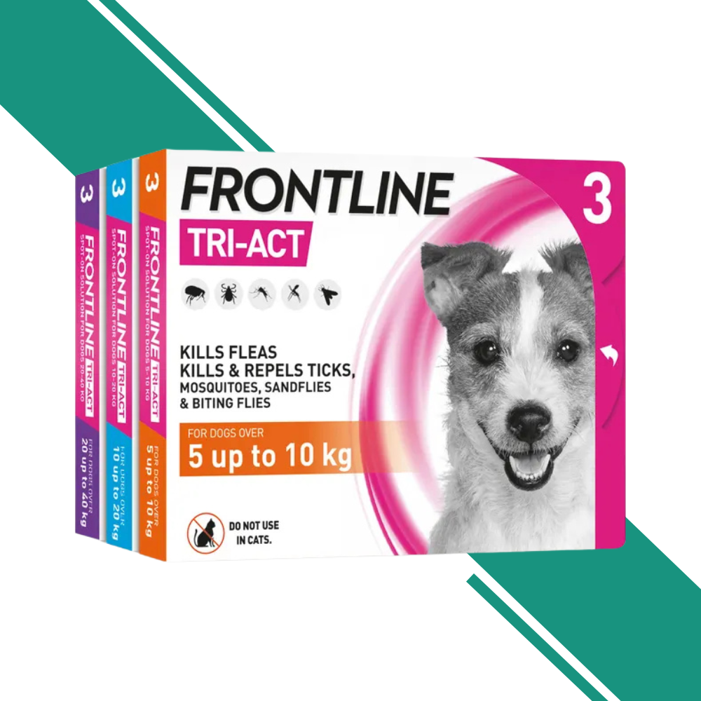 Frontline Plus Flea and Tick Control for Dogs